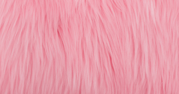 Shag Fur - Baby Pink - Thread Count Fabrics
