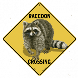 Raccoon Crossing Sign