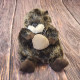 Plumpee Sea Otter