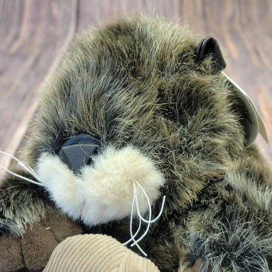 Plumpee Sea Otter