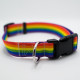 Pride Collar (Standard Sized) (13 Flags Available!)