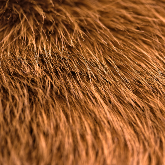 Brown Bear Luxury Fox Faux Fur