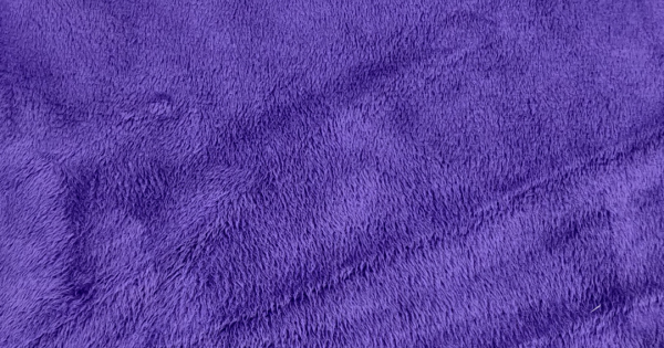 Electric Purple Minky Fabric