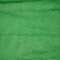 Emerald Anti-Pill Fleece Fabric