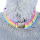 CUSTOM PRIDE Fursuit Sized Collar (20+ flags available!)