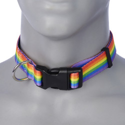 Pride Collar (Standard Sized) (13 Flags Available!)